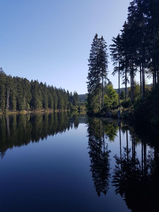 Fewo Nina Exklusiv Design Mit Bergblick Goslar Luaran gambar